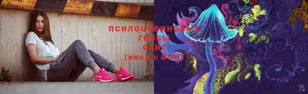 бошки Ладушкин