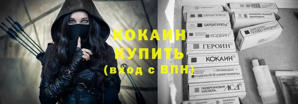 соль ск Лабытнанги
