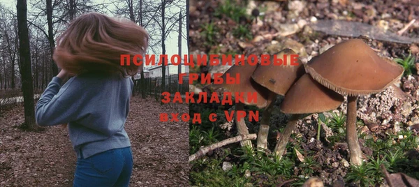 соль ск Лабытнанги