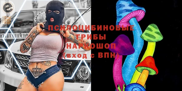 соль ск Лабытнанги